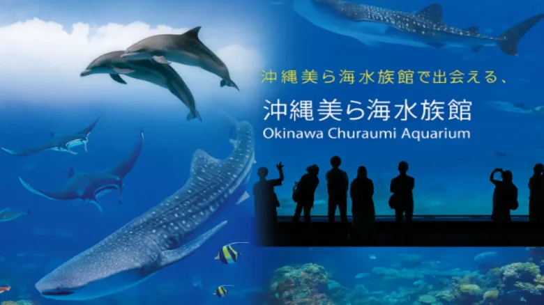 沖縄美ら海水族館の大水槽に泳ぐジンベエザメと観覧する来館者のシルエット